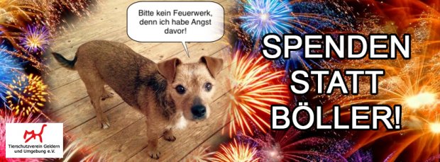 Spenden statt Böller